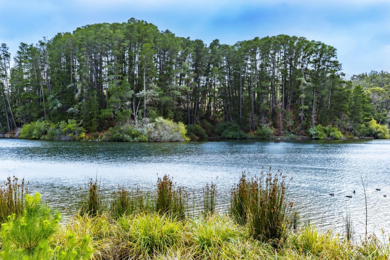 The Sebel Creswick Forest Resort Exterior photo